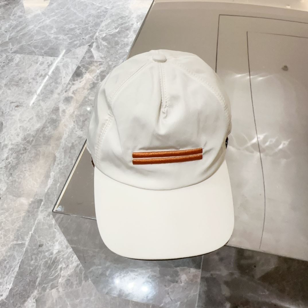 Zegna Caps